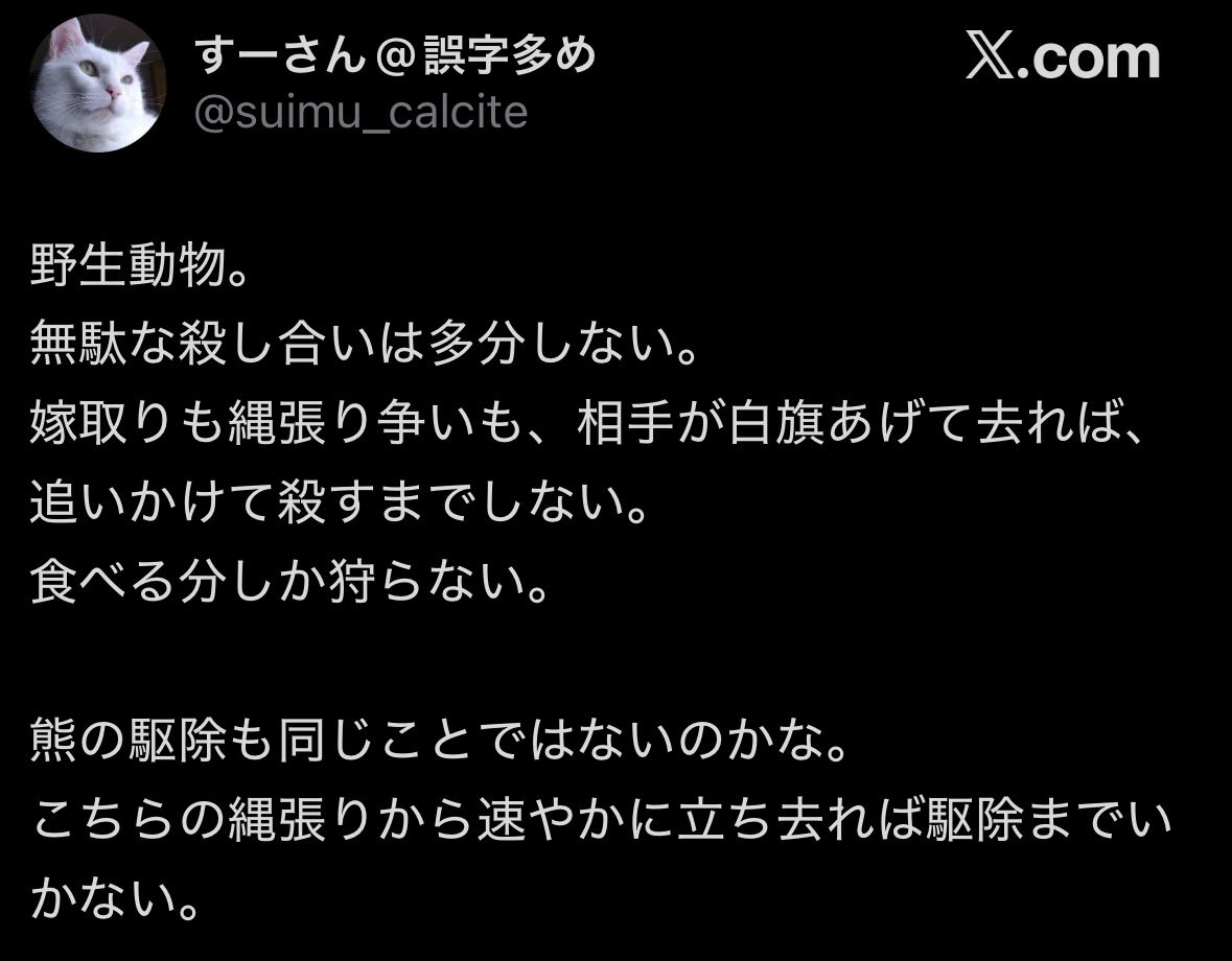 __babb___'s tweet photo. 動物は無駄な殺し合いはしないと発言してたのに、なぜ猫は遊びで生命を奪っていると確信できたのだ？ https://t.co/cCAEVZEHzo
