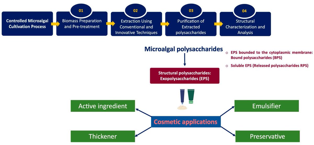 Cosmetics MDPI tweet media