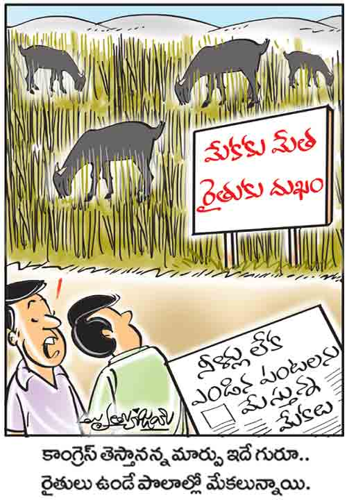 TelanganaFirst_'s tweet photo. Cartoon of the Day.
#TelanganaFirst https://t.co/iTv3KYOrgv