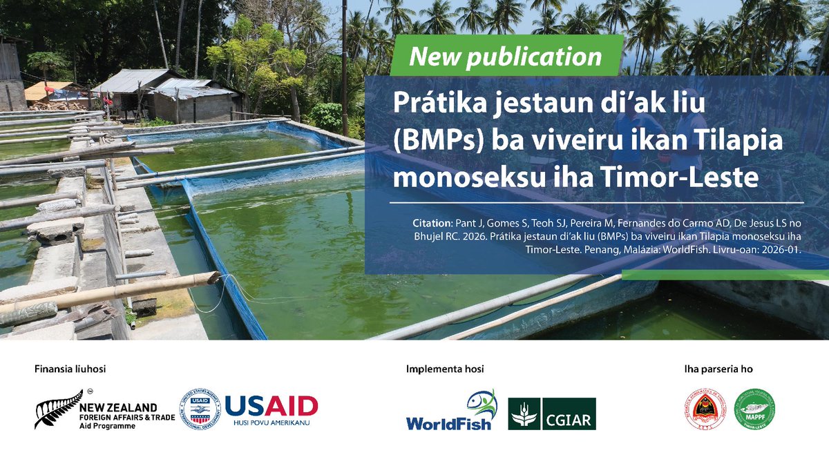 WorldFish tweet media