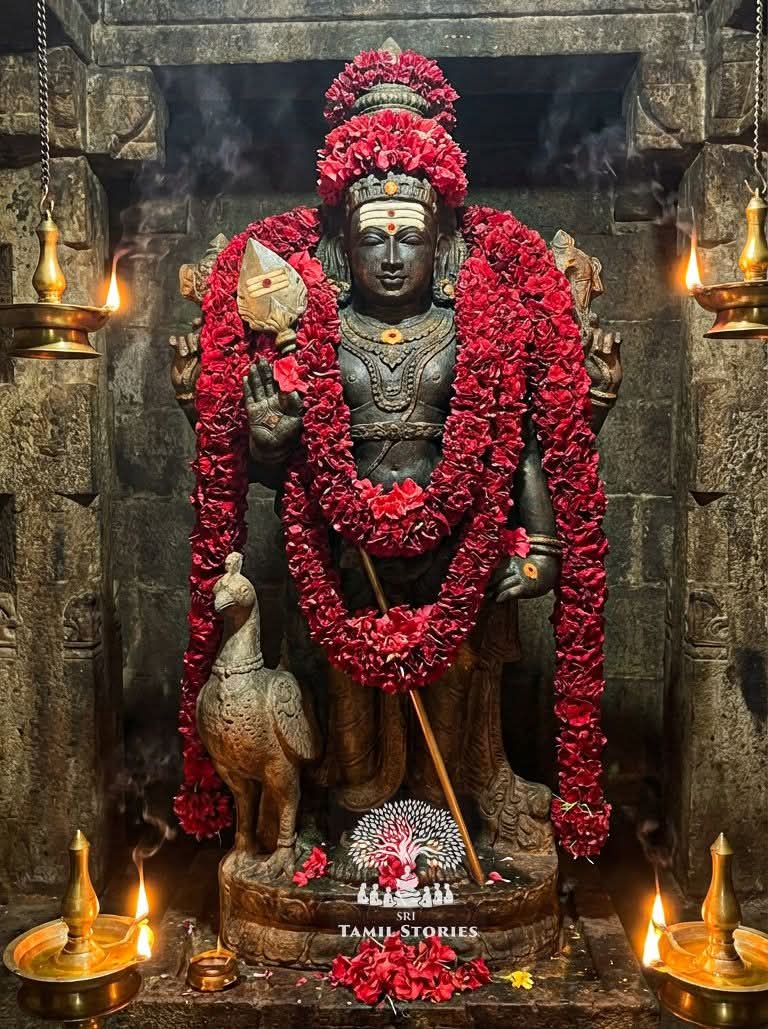 Shero_Girl's tweet photo. Never give up —
The seed breaks before it blooms,
The river bends before it reaches the ocean…

Om Saravana Bhava🦚 https://t.co/GrFwd3YDtV