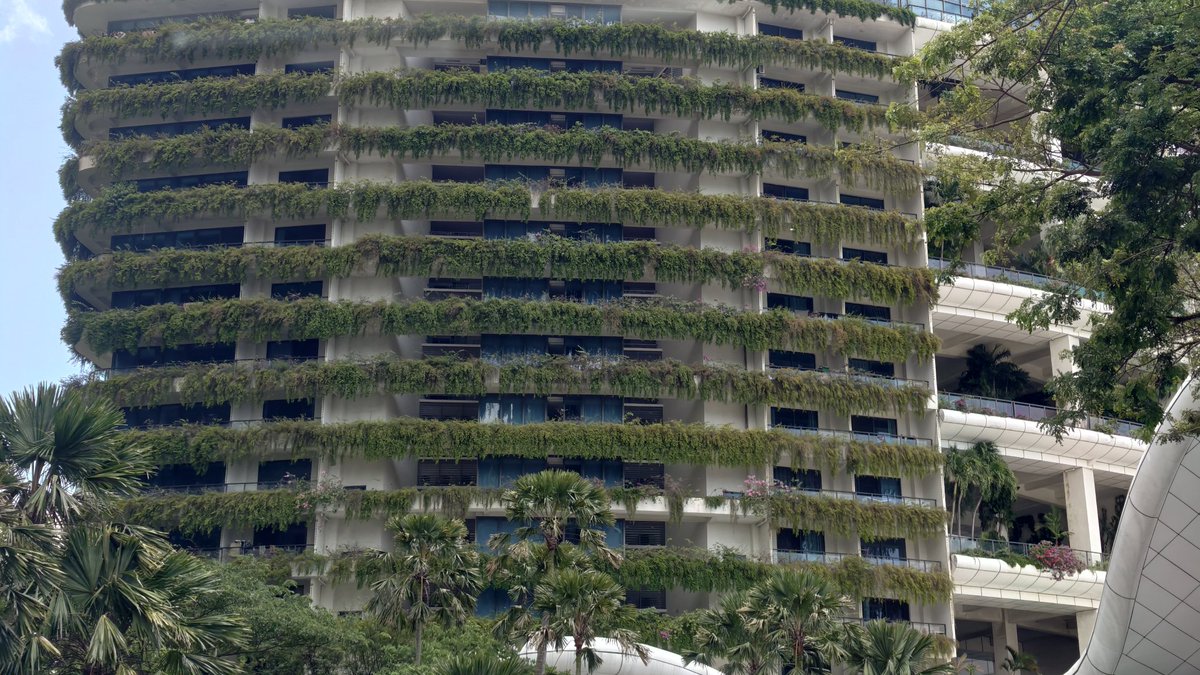 Arthur Fong 冯安健 tweet media