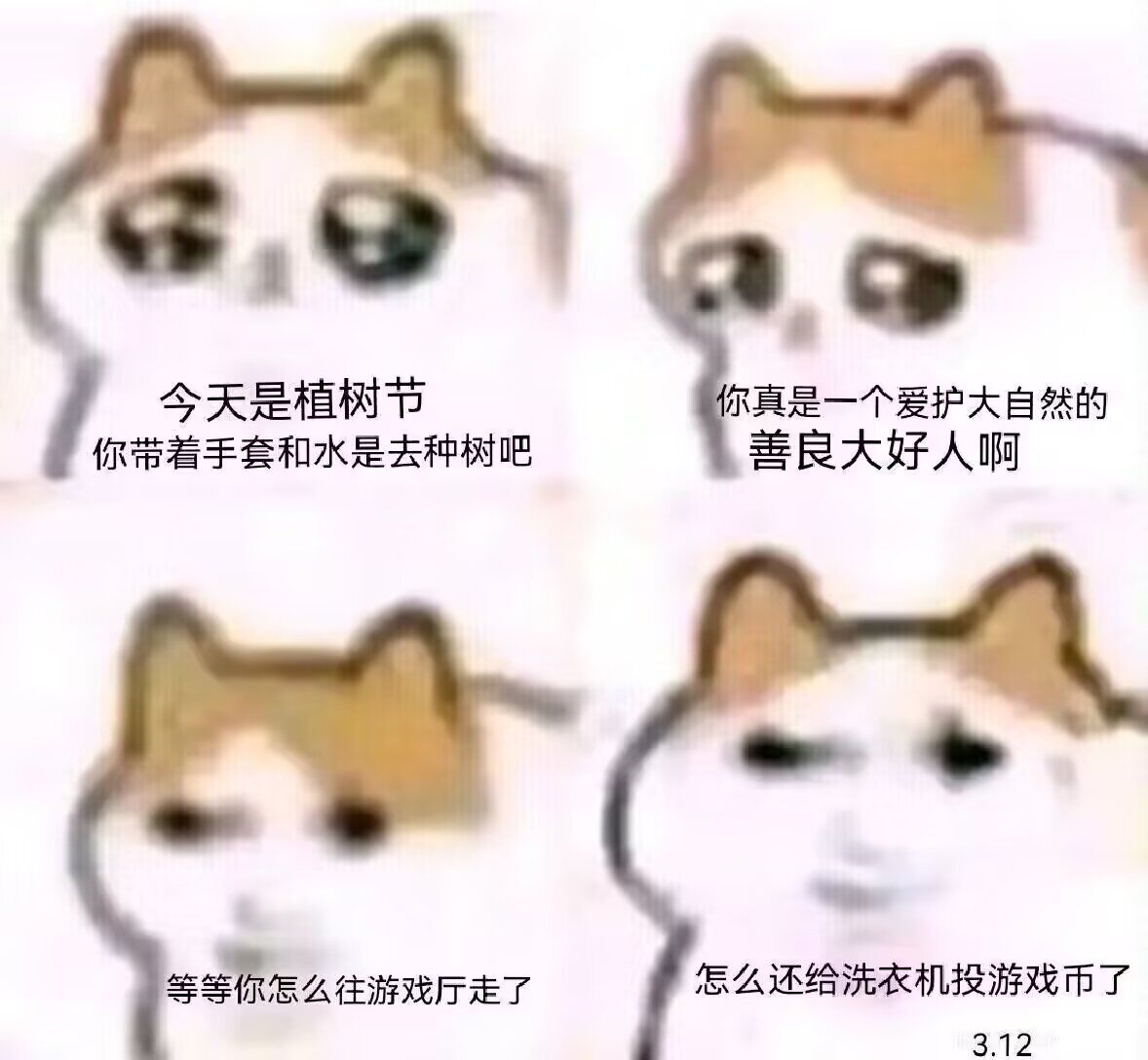 SalaSalaG's tweet photo. @phenol_haruka https://t.co/f7AZfpzM1c