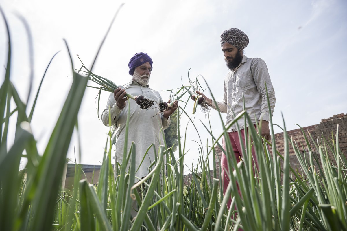 PwC_IN's tweet image. Through our flood recovery efforts, the PwC India Foundation is working alongside local partners and community members across India to combine immediate relief, rehabilitation and long-term resilience. Click to read full: bit.ly/4umBoUw

#PwCIF #CommunityResilience