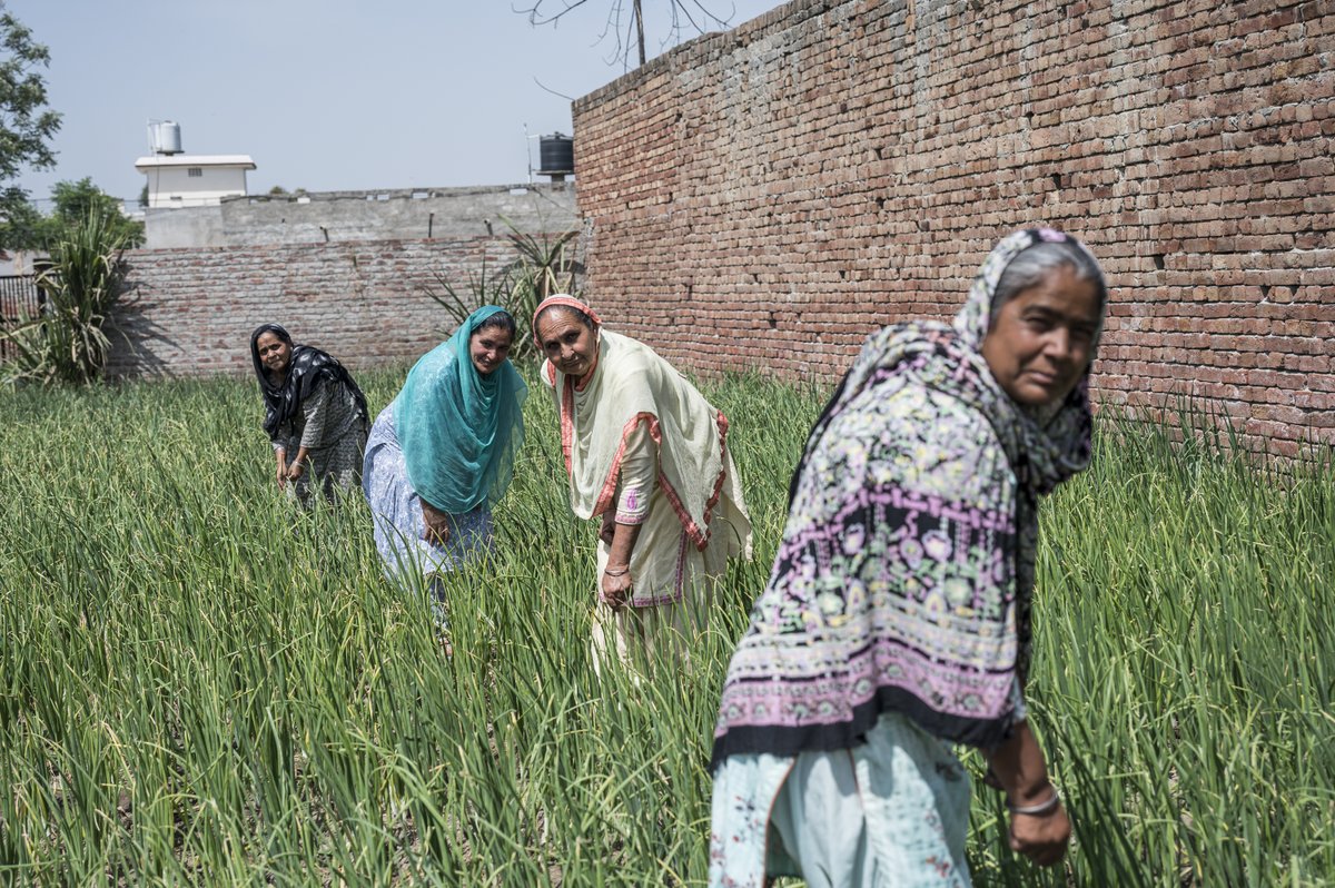 PwC_IN's tweet image. Through our flood recovery efforts, the PwC India Foundation is working alongside local partners and community members across India to combine immediate relief, rehabilitation and long-term resilience. Click to read full: bit.ly/4umBoUw

#PwCIF #CommunityResilience