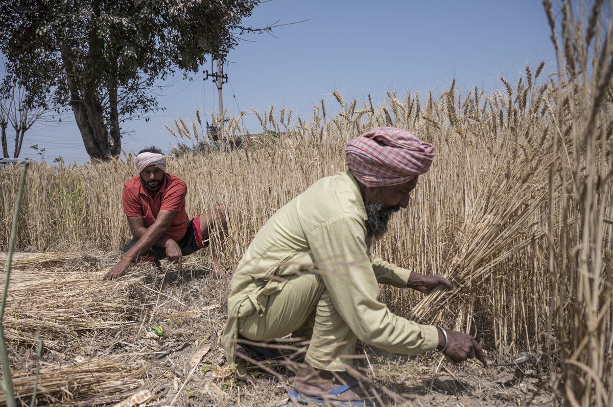 PwC_IN's tweet image. Through our flood recovery efforts, the PwC India Foundation is working alongside local partners and community members across India to combine immediate relief, rehabilitation and long-term resilience. Click to read full: bit.ly/4umBoUw

#PwCIF #CommunityResilience