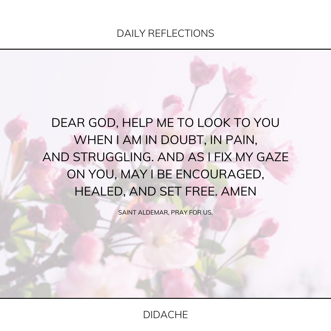 The Feast tweet media