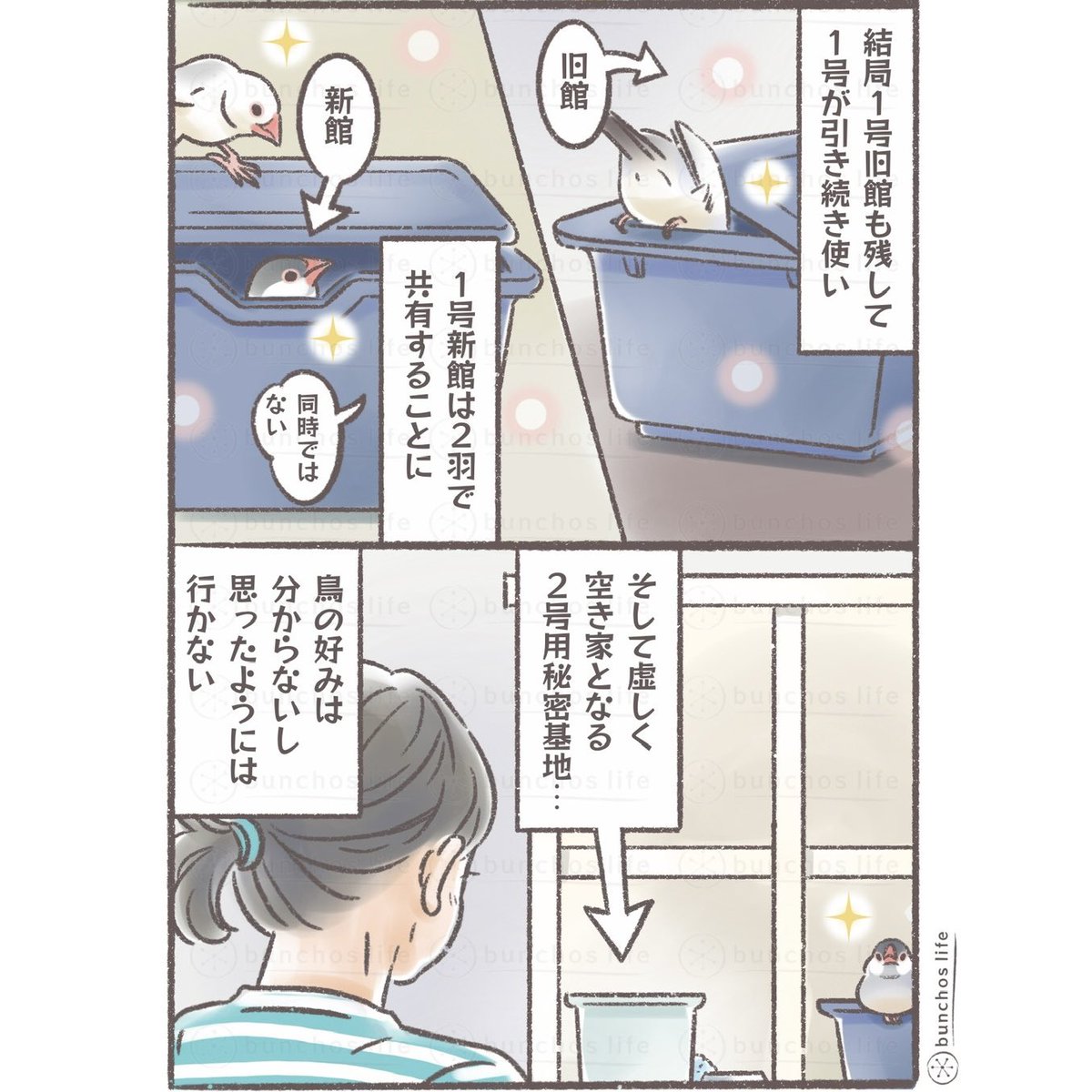 比較的どうでもよい我が家の文鳥達の秘密基地事情ですが、鳥の好みはいまいち分からないという話
#文鳥 
#4コマ漫画 