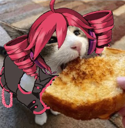 Kasane Tomos (@kasanetomos0401) on Twitter photo 