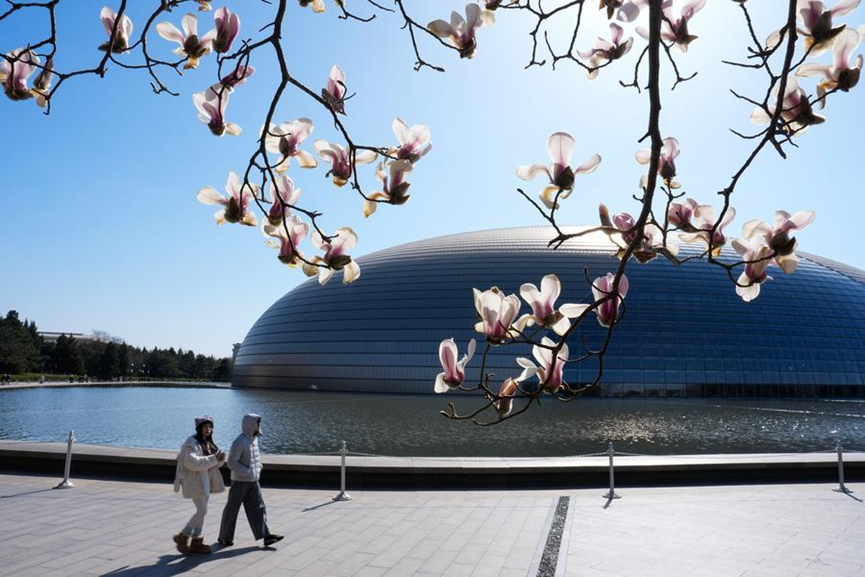 CGSyd_WangYu's tweet image. Spring has arrived in China. 🌸 Flowers are in full bloom across the country, and parks and scenic spots are filled with visitors enjoying the beauty of the season. A vibrant reminder of renewal, vitality, and the joy of spring.
#SpringInChina #BeautifulChina #ChinaTravel