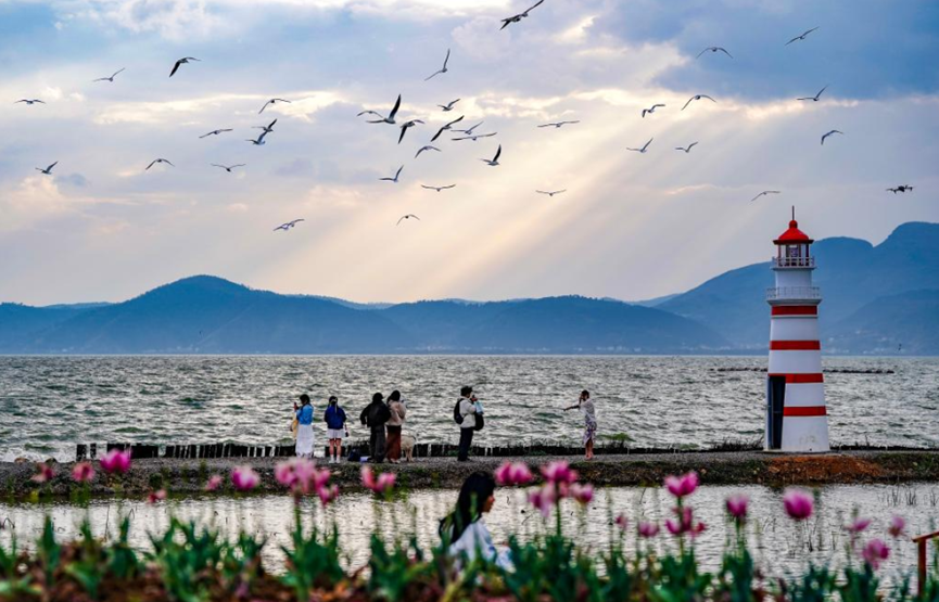 CGSyd_WangYu's tweet image. Spring has arrived in China. 🌸 Flowers are in full bloom across the country, and parks and scenic spots are filled with visitors enjoying the beauty of the season. A vibrant reminder of renewal, vitality, and the joy of spring.
#SpringInChina #BeautifulChina #ChinaTravel