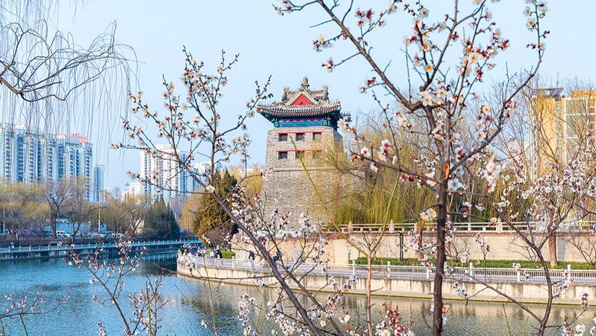 CGSyd_WangYu's tweet image. Spring has arrived in China. 🌸 Flowers are in full bloom across the country, and parks and scenic spots are filled with visitors enjoying the beauty of the season. A vibrant reminder of renewal, vitality, and the joy of spring.
#SpringInChina #BeautifulChina #ChinaTravel