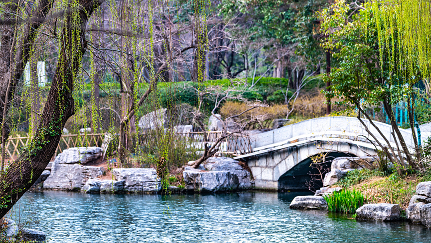 CGSyd_WangYu's tweet image. Spring has arrived in China. 🌸 Flowers are in full bloom across the country, and parks and scenic spots are filled with visitors enjoying the beauty of the season. A vibrant reminder of renewal, vitality, and the joy of spring.
#SpringInChina #BeautifulChina #ChinaTravel