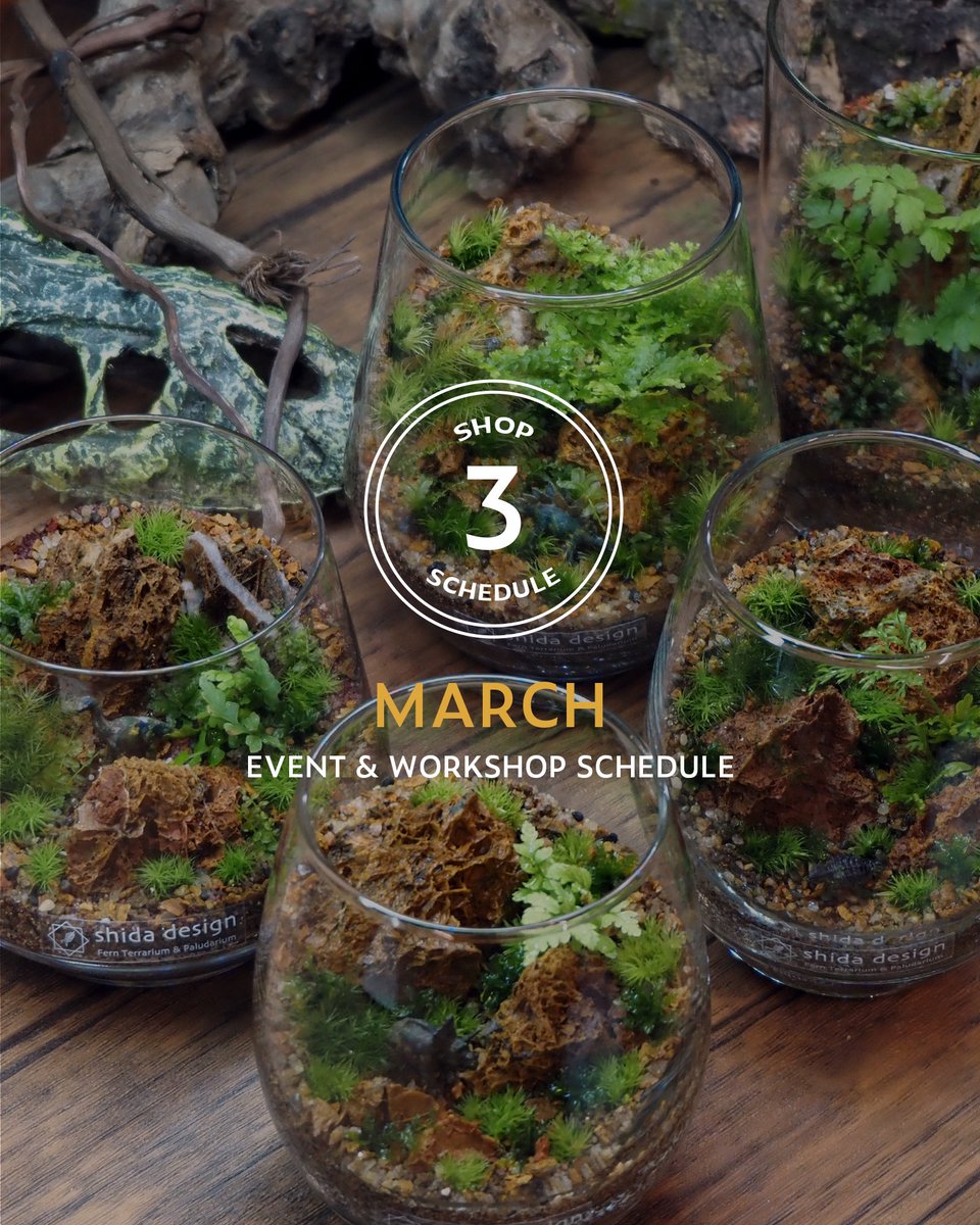 shida design シダデザイン tweet media