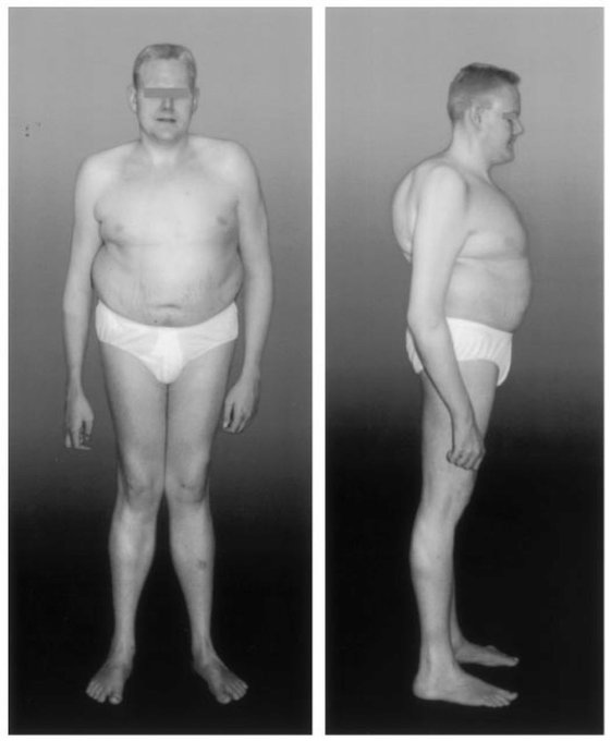 Rob Keef tweet media