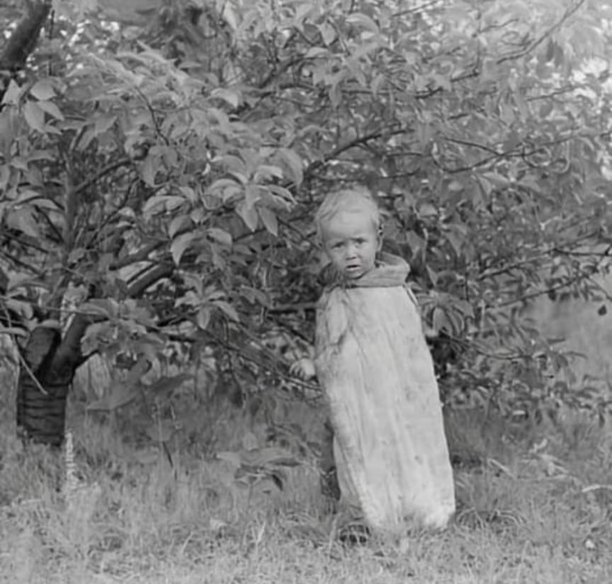 Undiscovered History tweet media