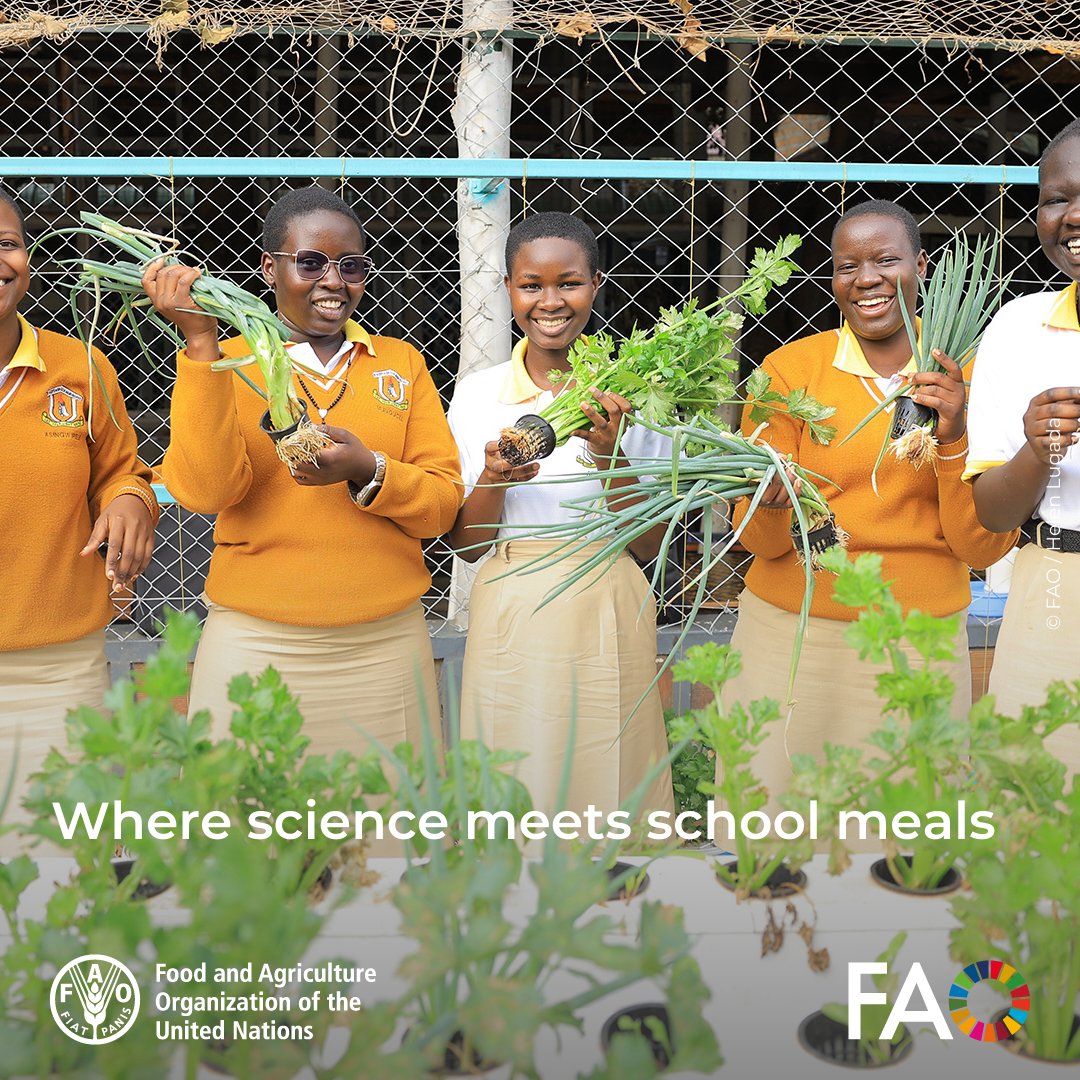 FAO Innovation tweet media