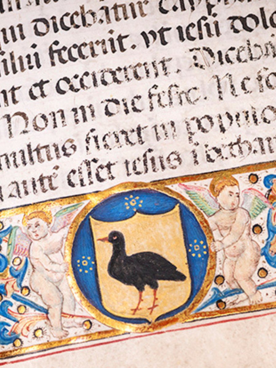 Museu del Renaixement tweet media