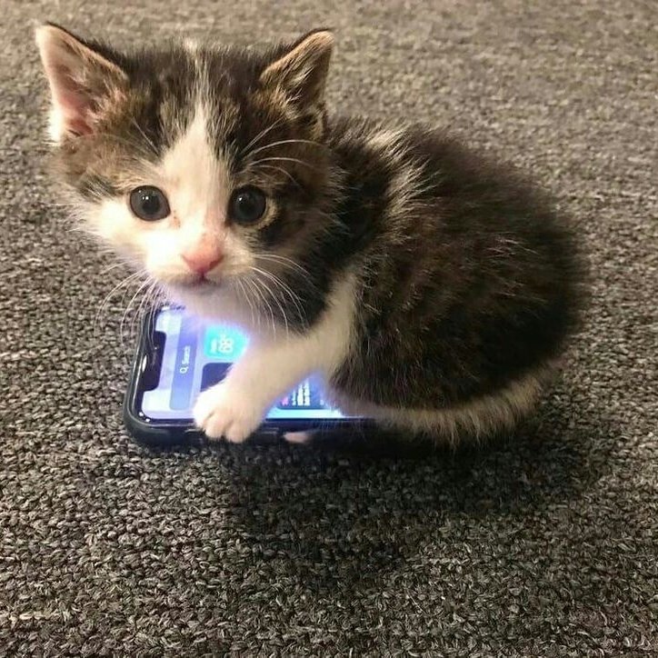 ㊶ (@js1jcs) on Twitter photo 