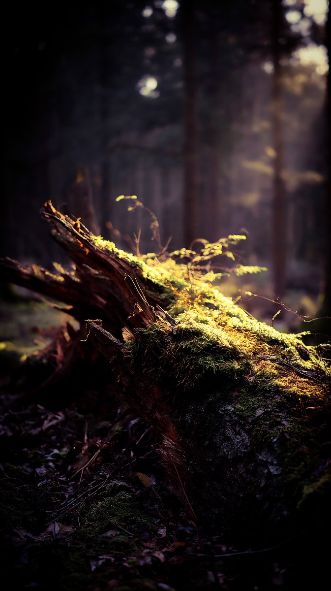 21MaRcO12 tweet media