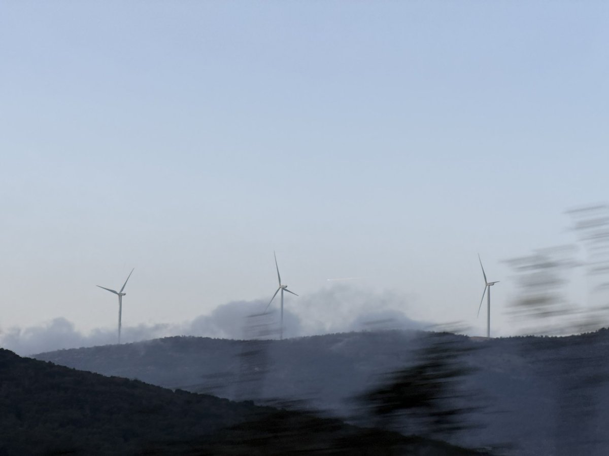 astochka tweet media