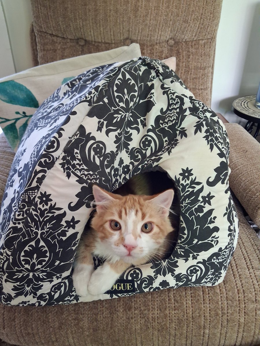 Wendy Waters tweet media