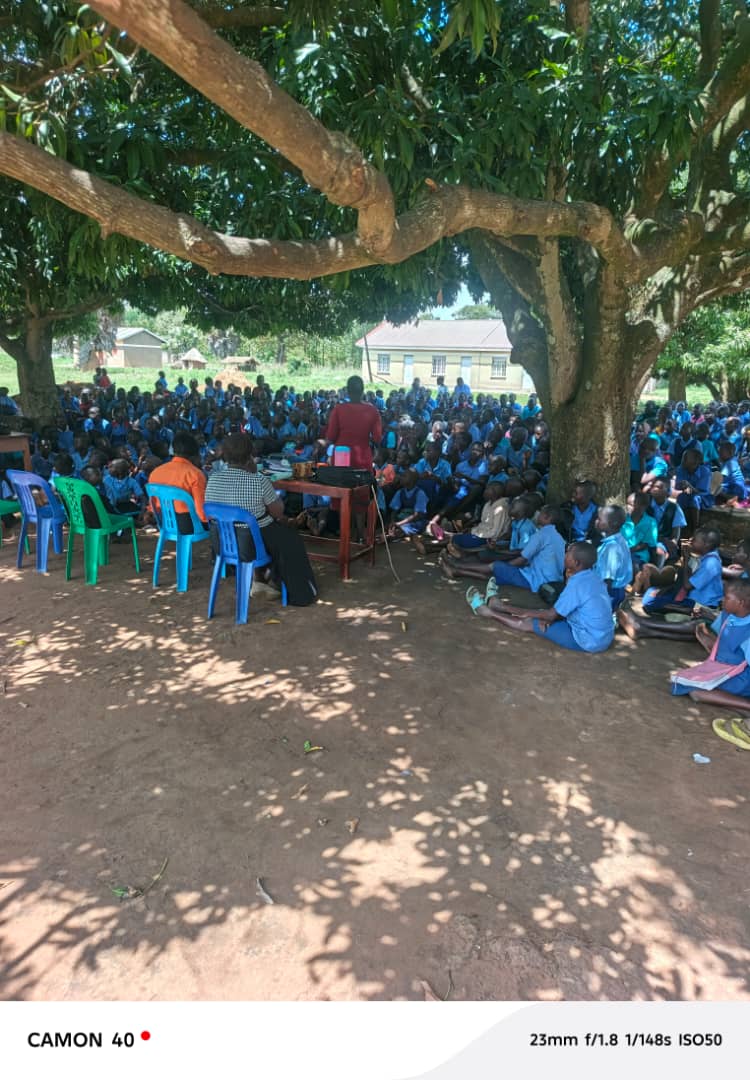 Bunae Bright tweet media