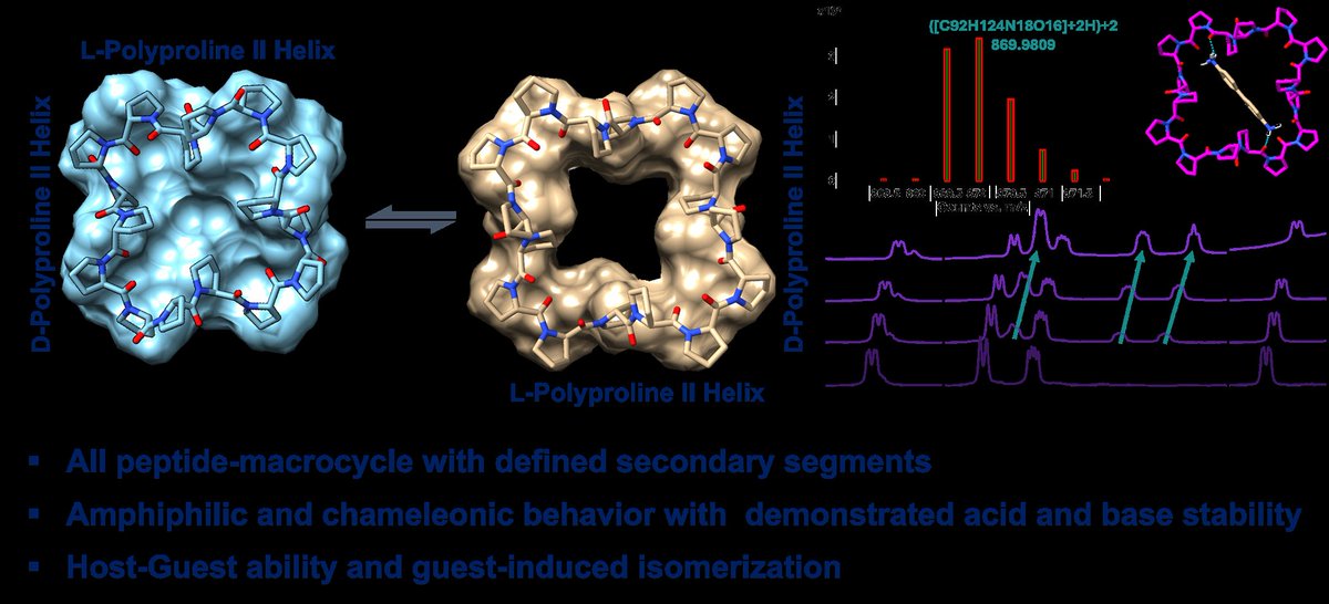 PalmaResearchGroup tweet media