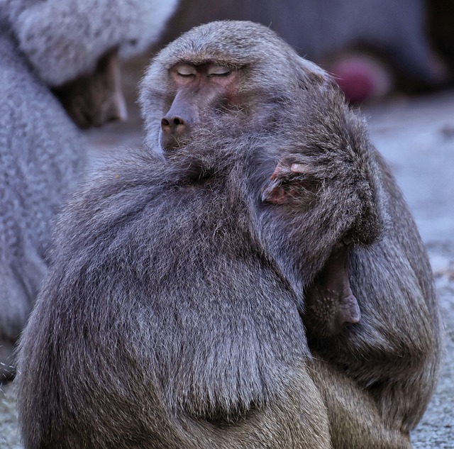 Courtney Rodriguez tweet media