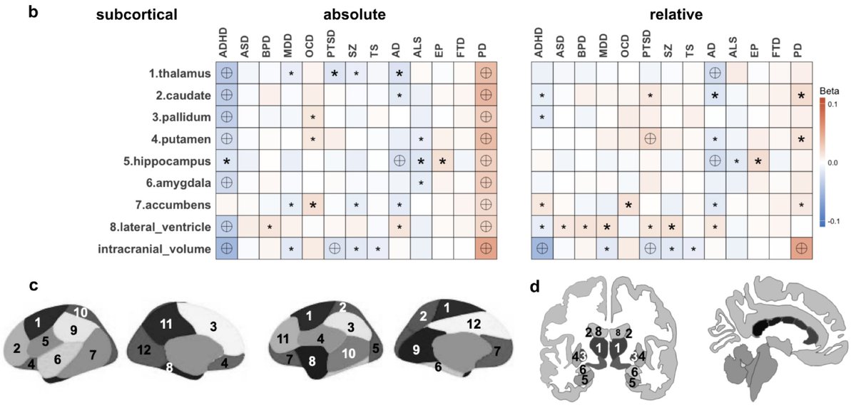 Imaging Neuroscience tweet media