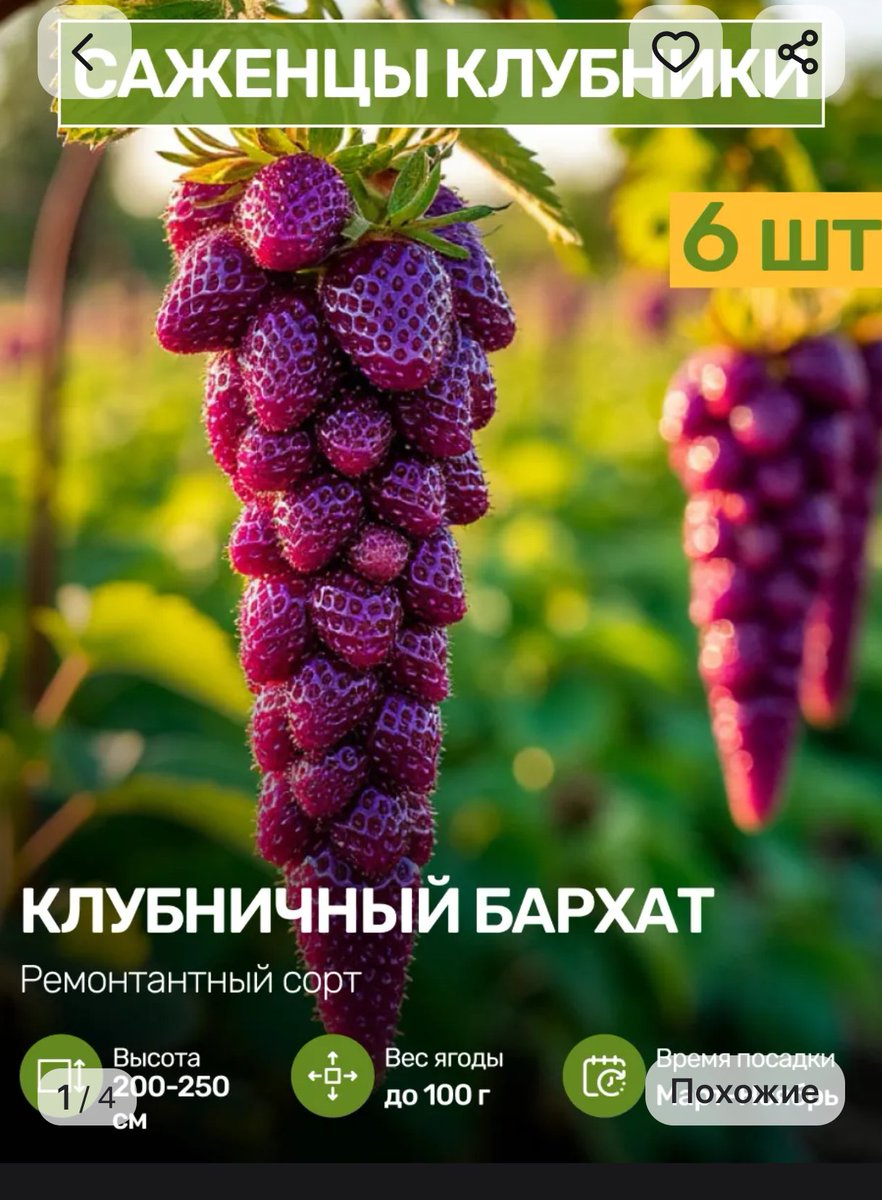 Искусство Быть Посторонним🇩🇪 tweet media