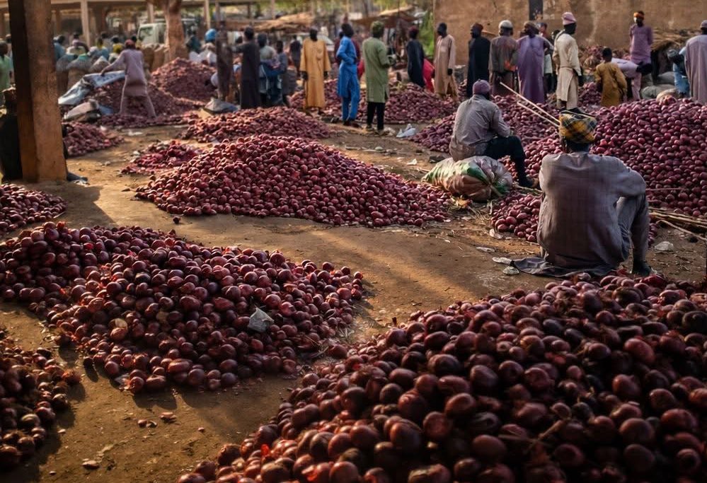 KEBBI BLOG NGN LTD 🇳🇬 tweet media