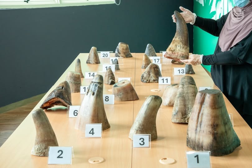 Environmentza tweet media