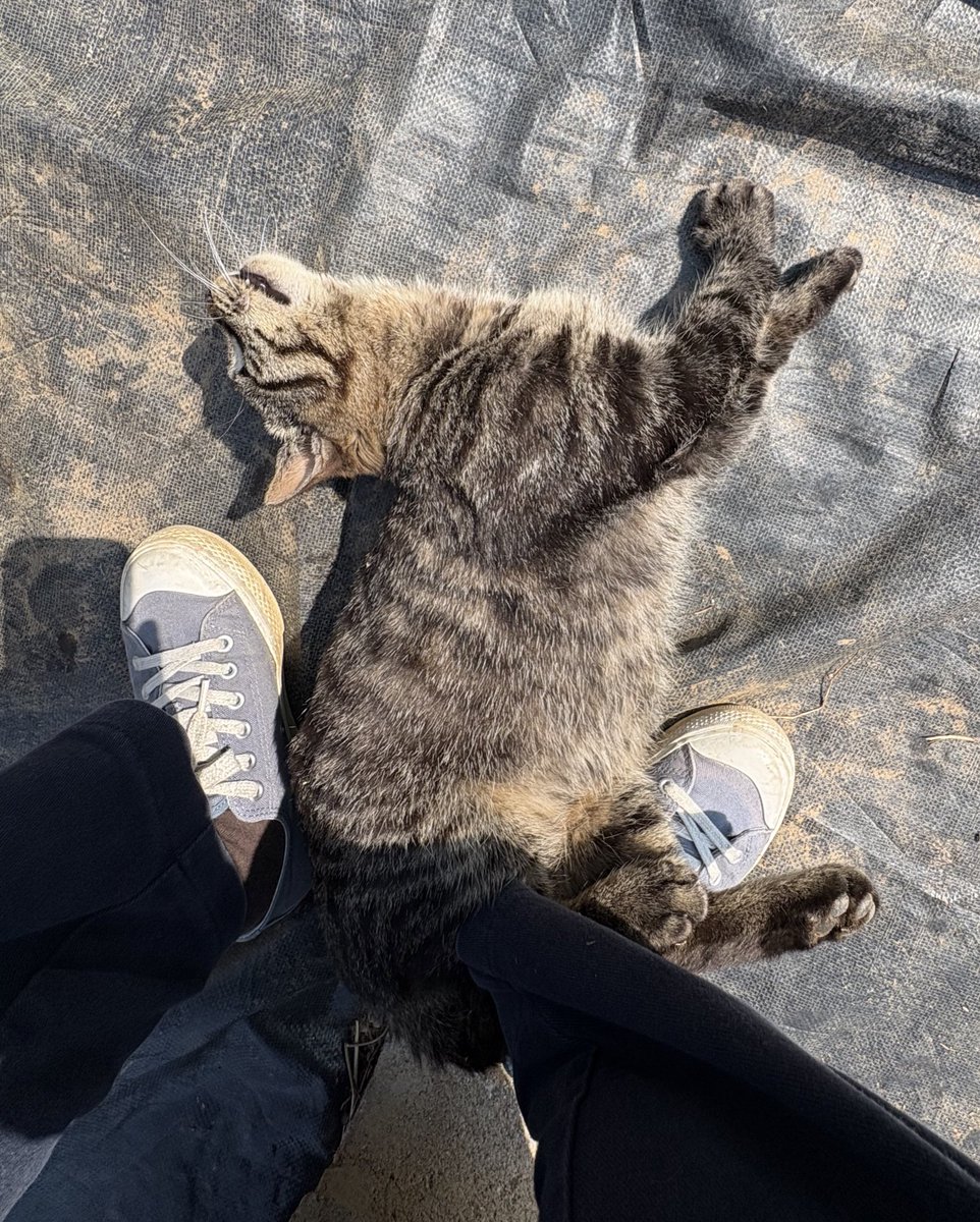 오버더호라이즌🎗 tweet media