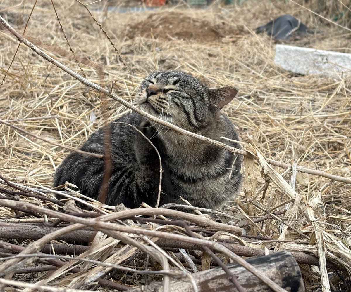 오버더호라이즌🎗 tweet media