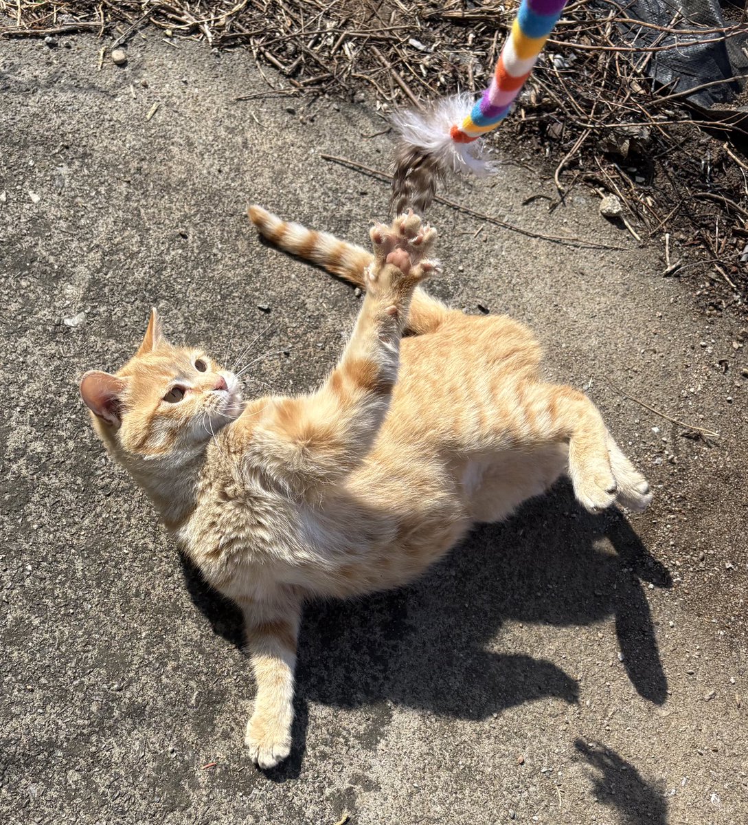 오버더호라이즌🎗 tweet media