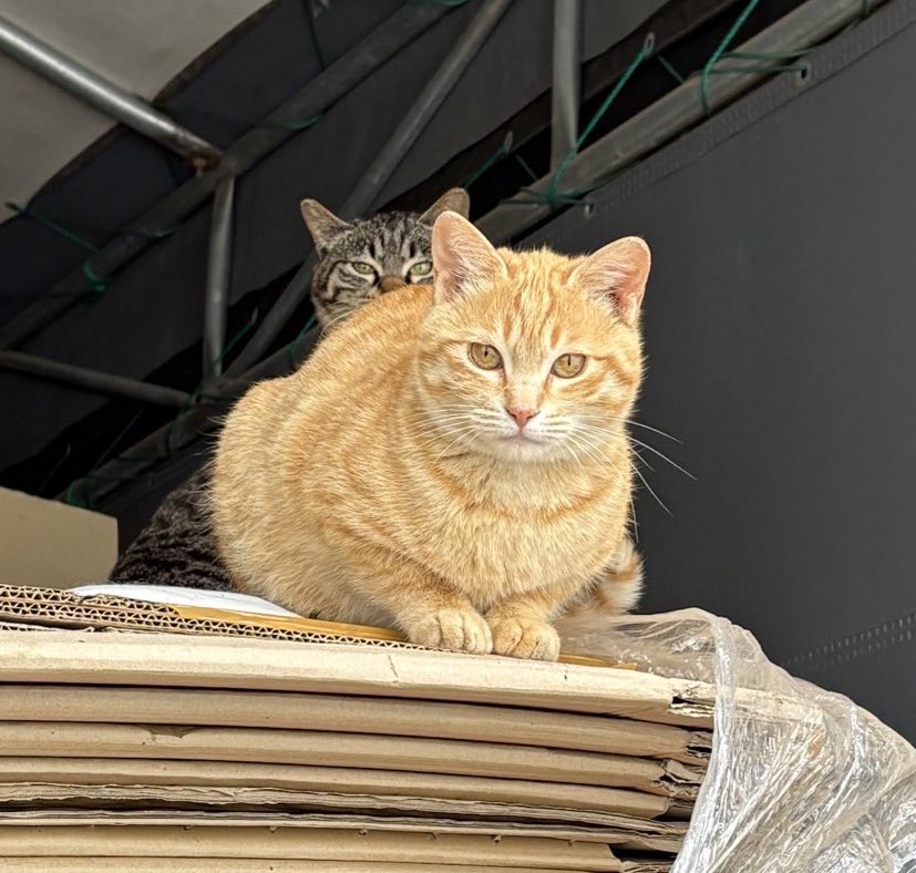 오버더호라이즌🎗 tweet media