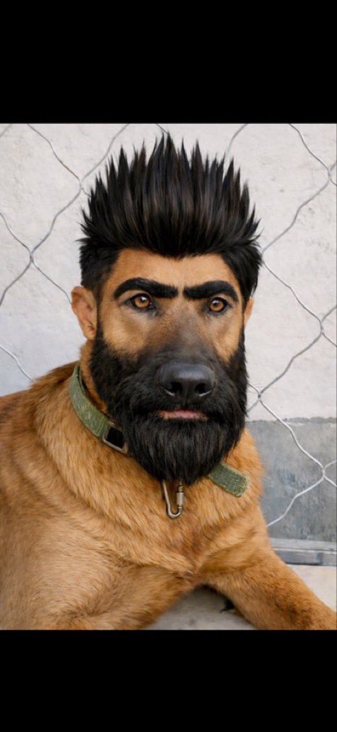 القوة السياسية tweet media