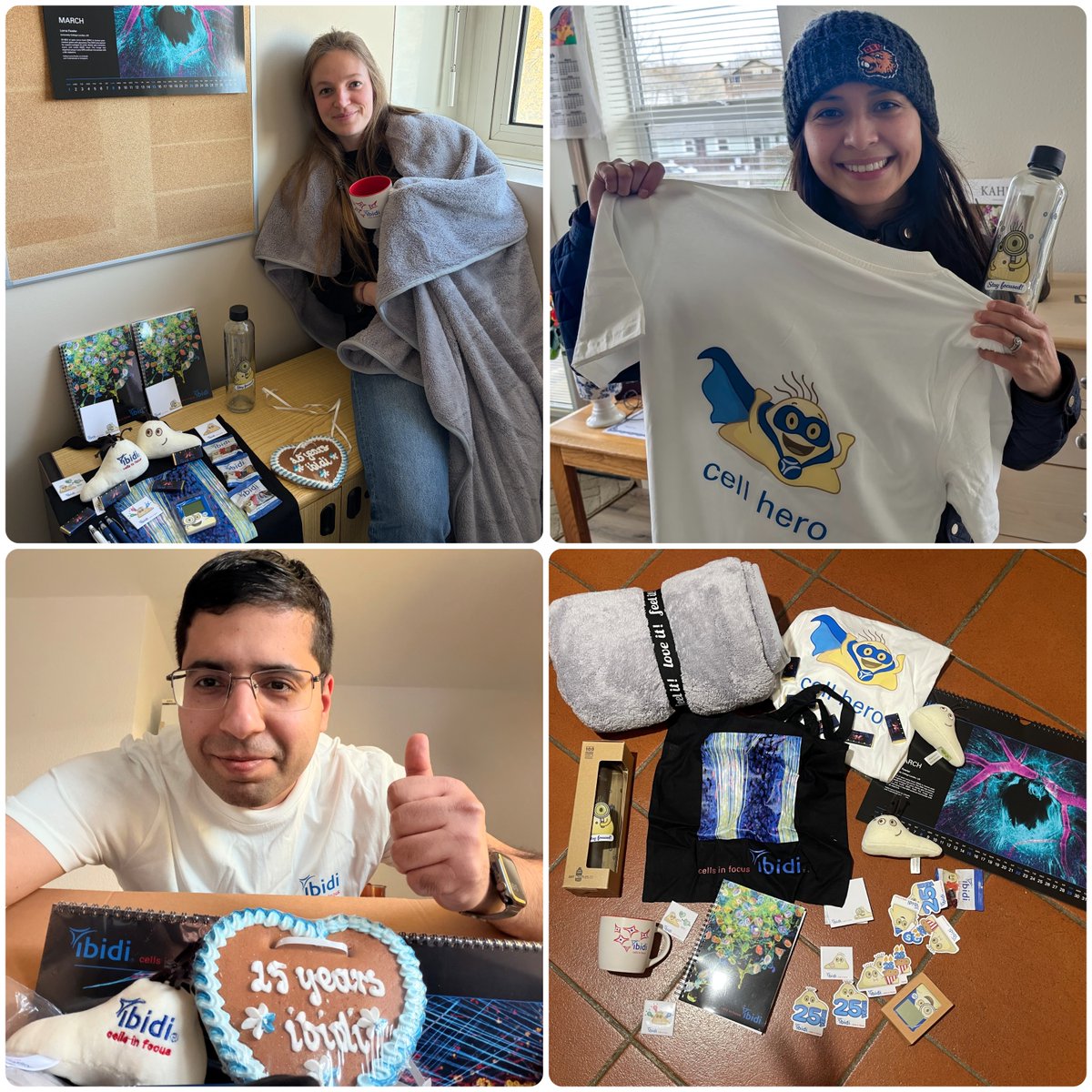 ibidi GmbH tweet media