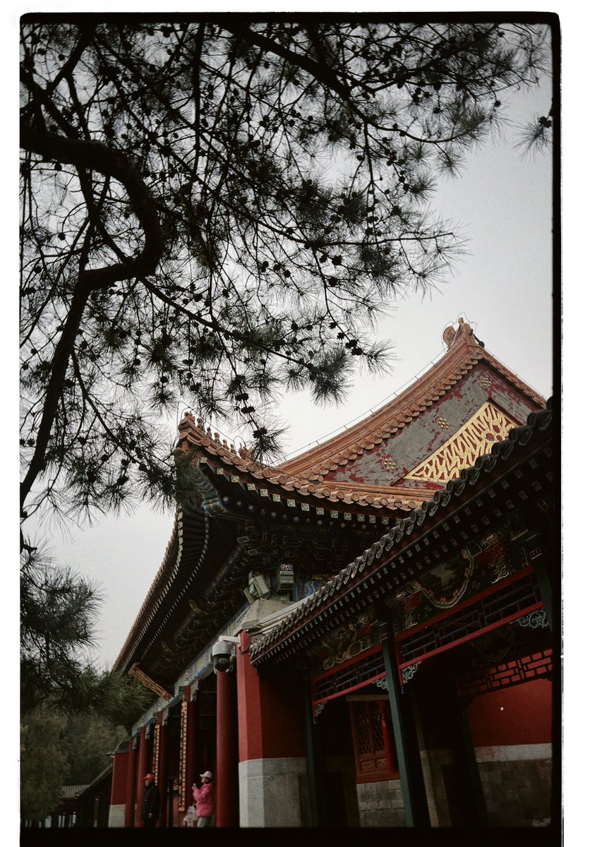 นี่ชอบพระราชวังฤดูร้อนสุด ๆ ไปหน้าหนาว+ไม่มีแดด ลมพัดทีเกือบขิต ทางเดินยาว ๆ ไม่มีคนเดินเลย ถ้าเช่าชุดมาใส่เดินเล่นน่าจะสนุกมาก