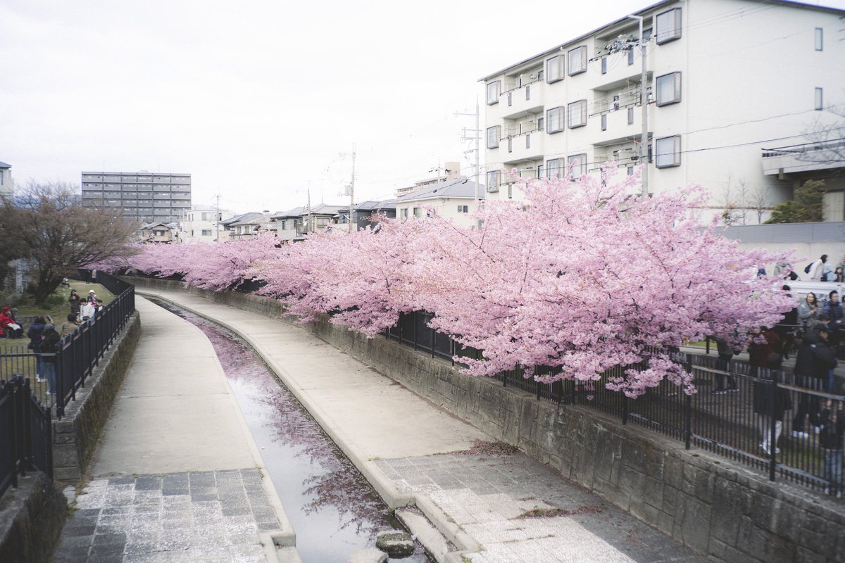 Watarudori's tweet photo. https://t.co/8qTDASHbkm