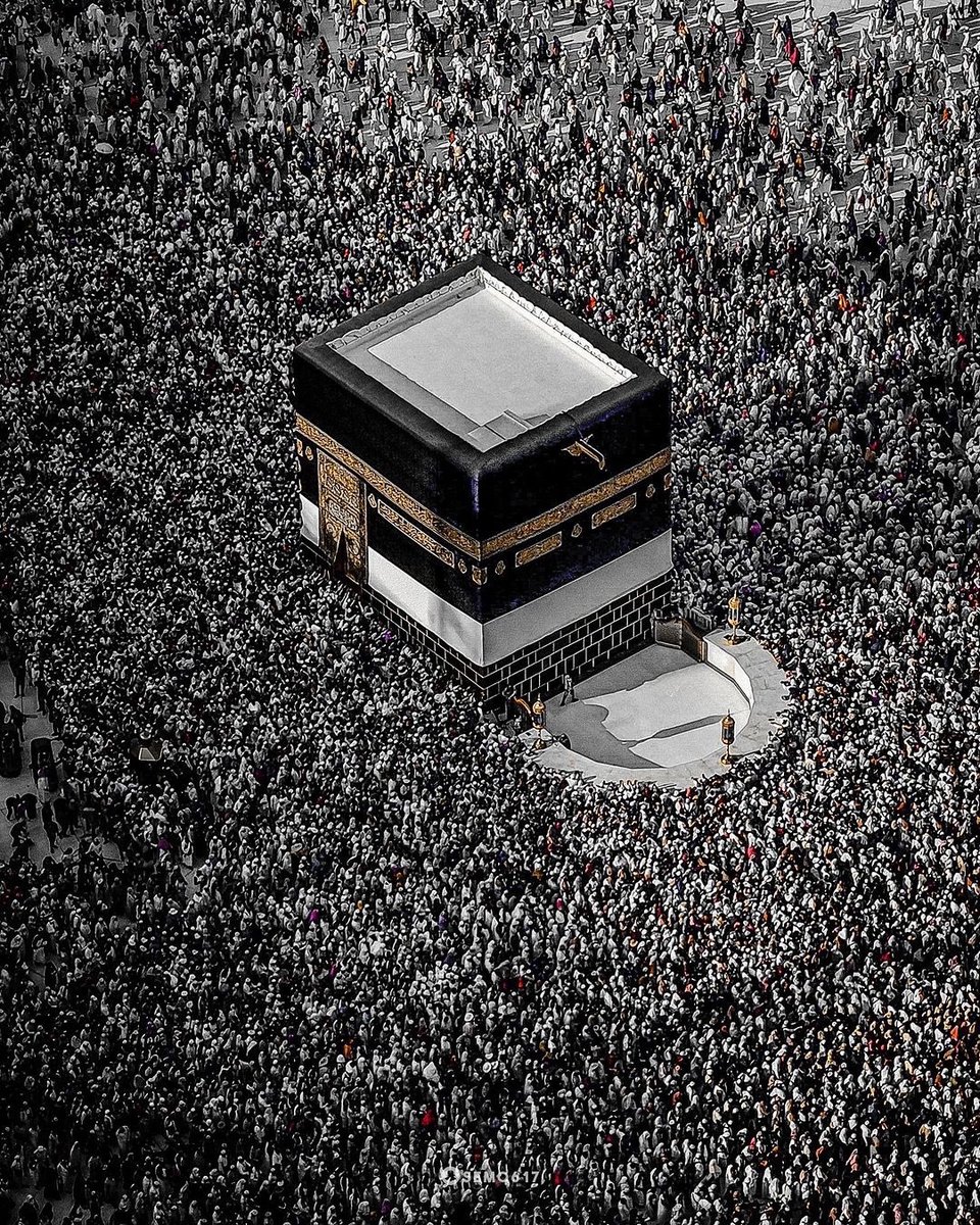 MuslimMatters tweet media