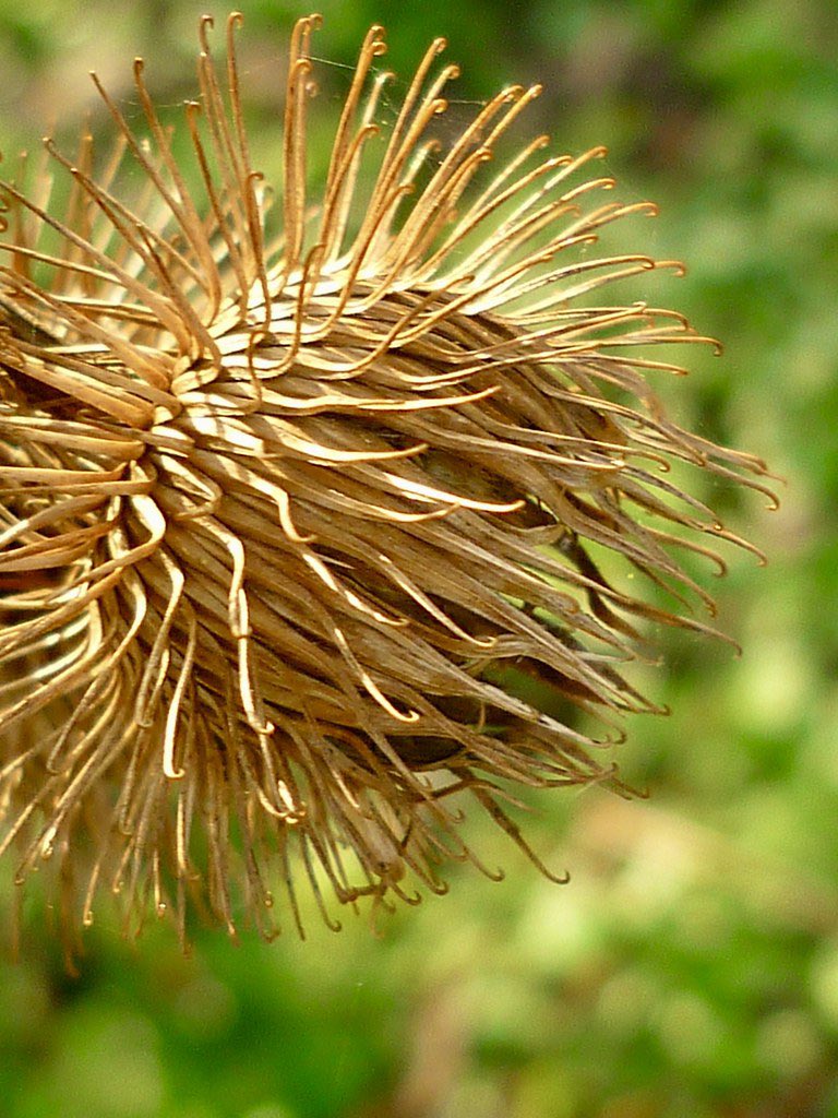 Stephen Parker tweet media