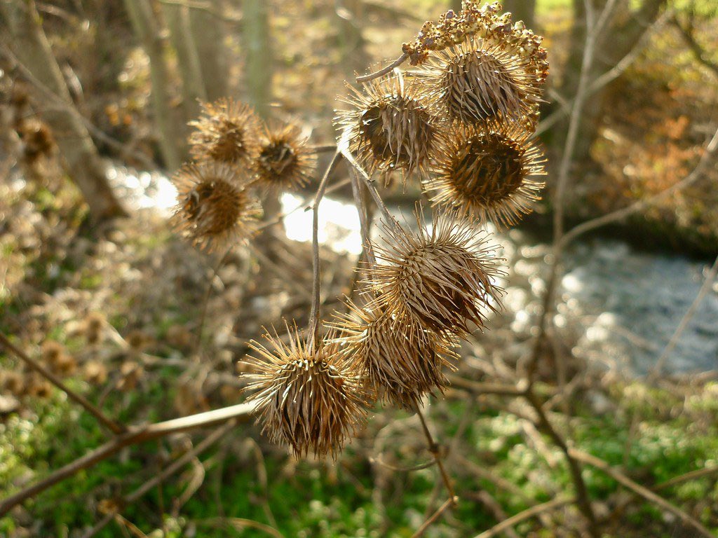 Stephen Parker tweet media