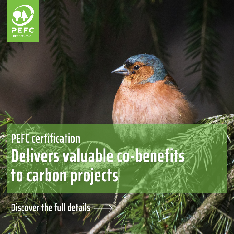 PEFC International tweet media