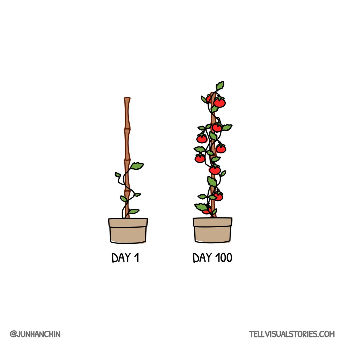 Junhan Chin tweet media