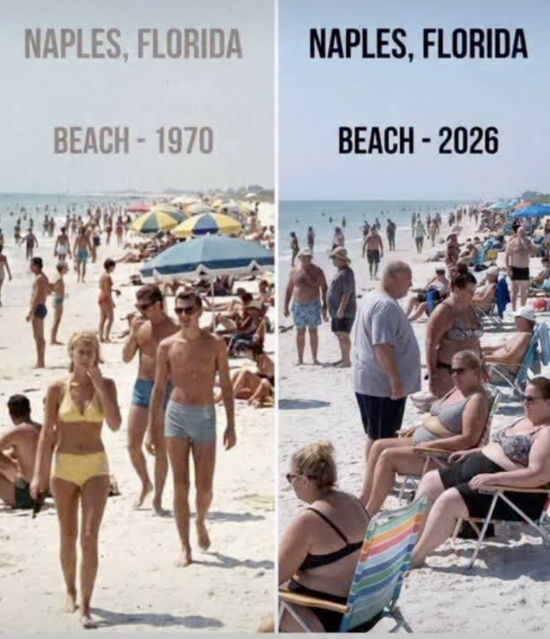 Carnivore Aurelius ©🥩 ☀️🦙 tweet media