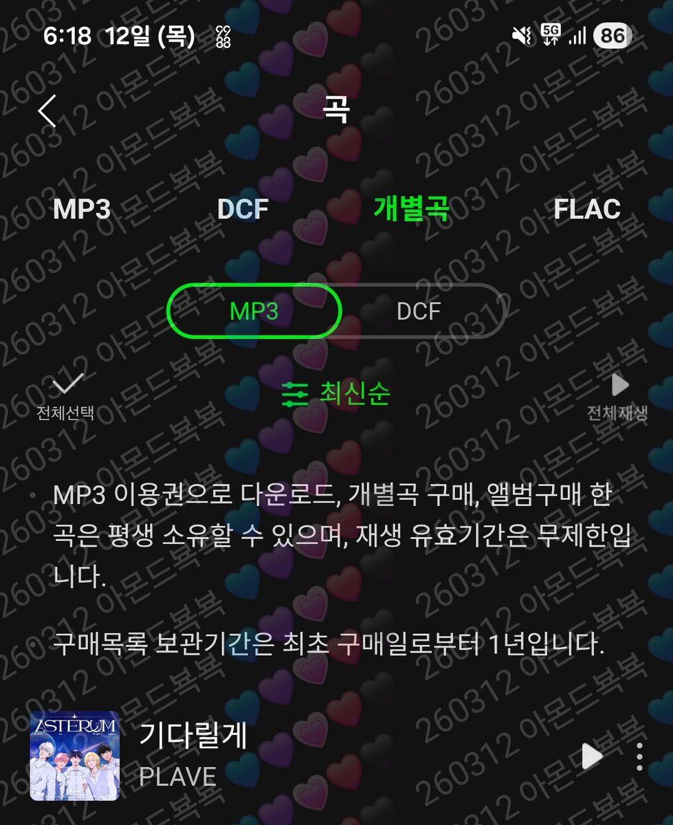 아몬드뵥뵥(소속:노블 비질란테) tweet media
