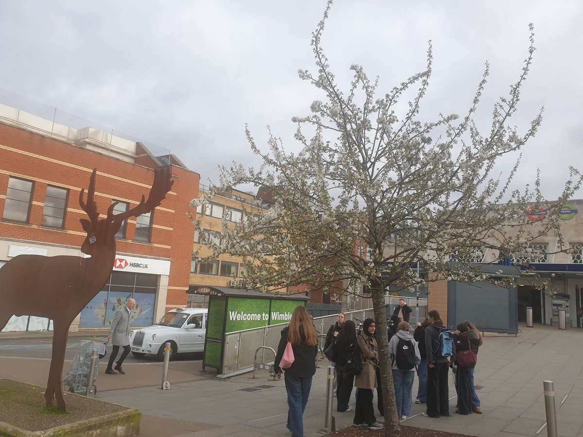 wimbledonsw19.com tweet media