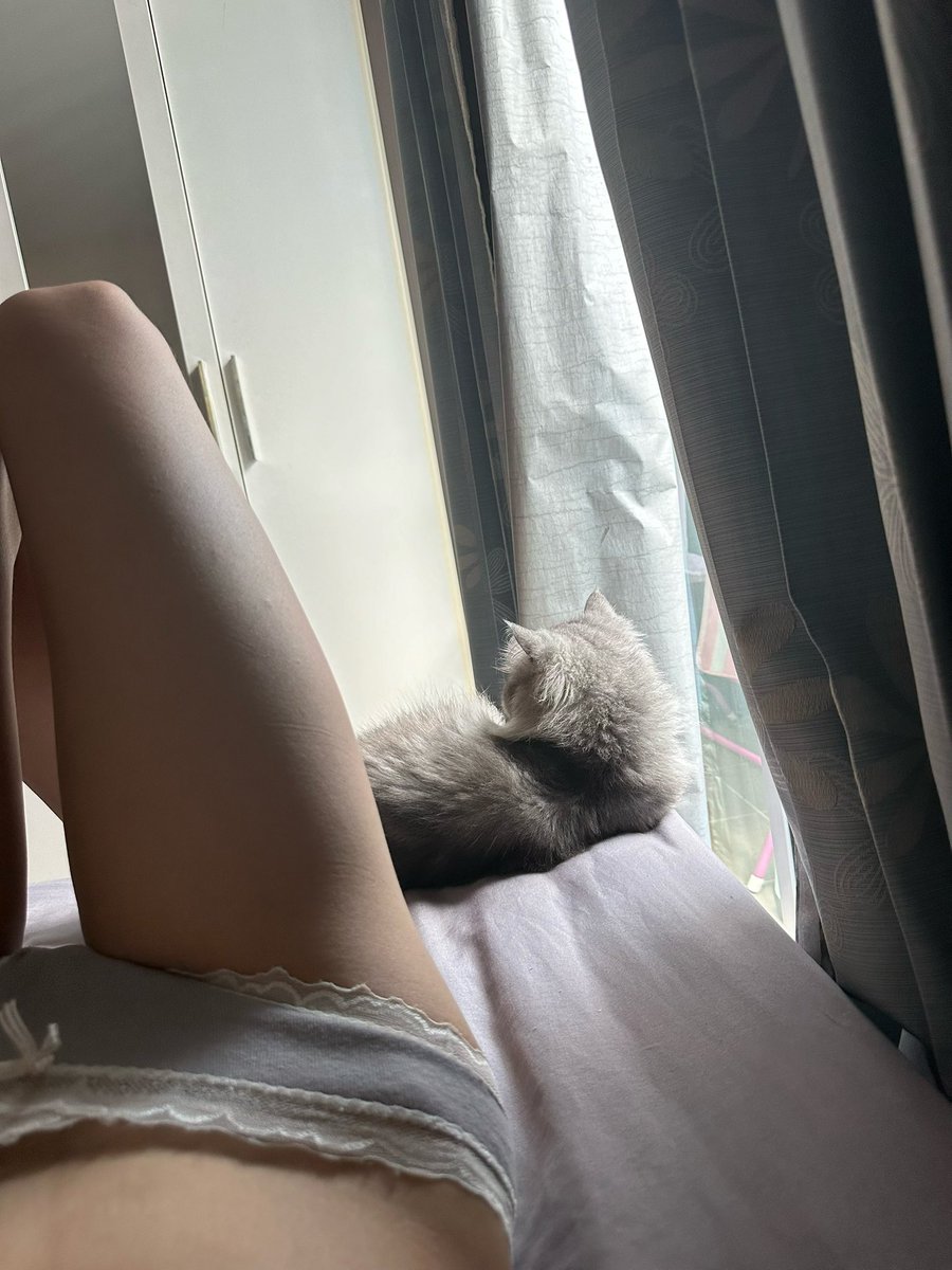 Juniperx123's tweet photo. แมวตัวสีอะไรคะ🐱🐾 #img𝐟𝐨𝐫ลั่น  #fypシ゚viralシ https://t.co/UIBEMepQk6